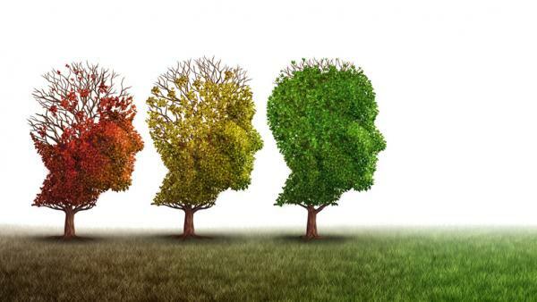 Neuropsykologisk minnesrehabilitering efter stroke och tekniker