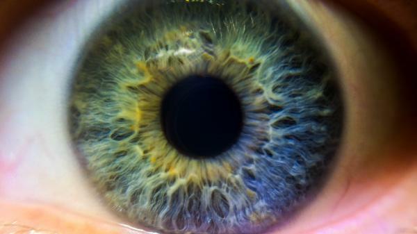 Аномалии на зрението - Основна психология - Как работи човешкото око? - Динамични аспекти на зрението