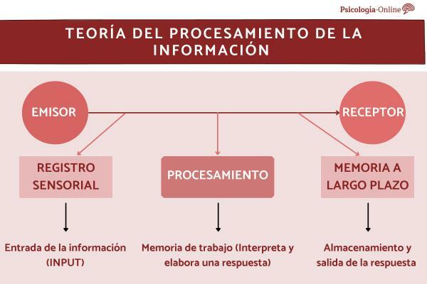 Theory of INFORMATION PROCESSING: what it is, characteristics and examples