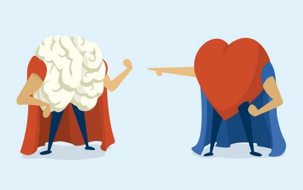 Rozdiely medzi mužským a ženským mozgom - Hlavné rozdiely medzi mužským a ženským mozgom