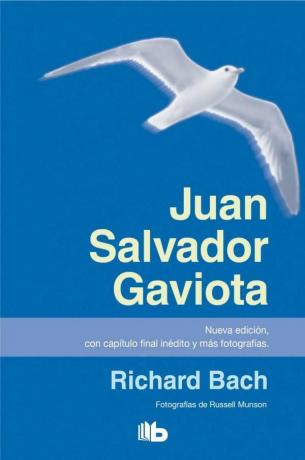 Kirjat, jotka saavat sinut ajattelemaan - Juan Salvador Gaviota, Richard Bach