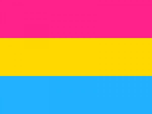 Druhy sexuality - Pansexualita