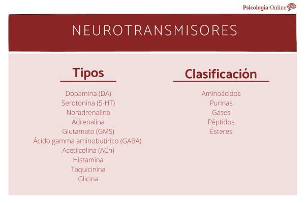 Čo sú neurotransmitery - typy neurotransmiterov