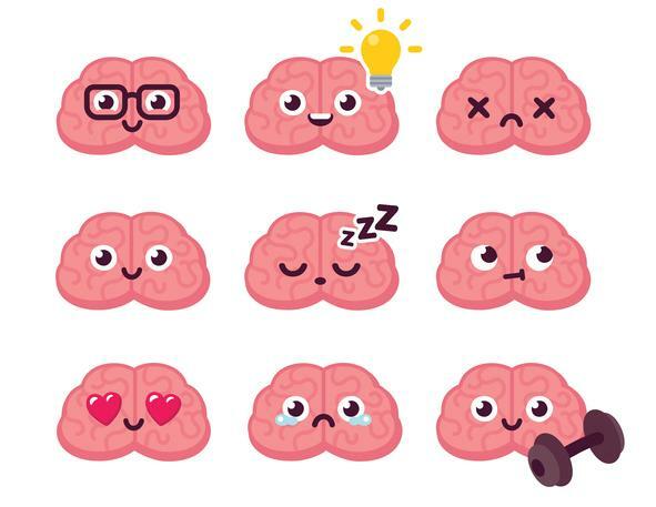 Sempatik ve parasempatik sinir sistemi: farklılıklar ve fonksiyonlar