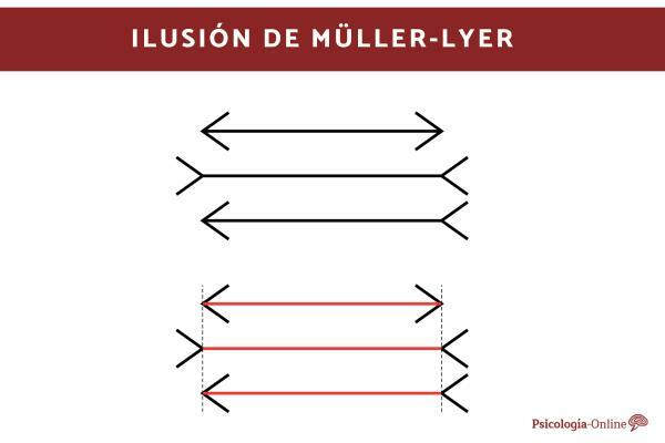 What is the Müller-Lyer illusion and why does it occur?
