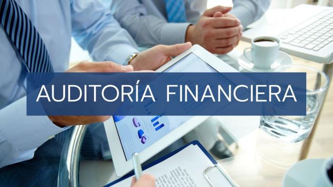 Finančna revizija (opredelitev, cilji, značilnosti in procesi)