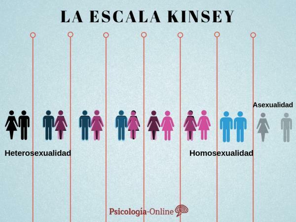 Шкала сексуальной ориентации Кинси - Шкала Кинси